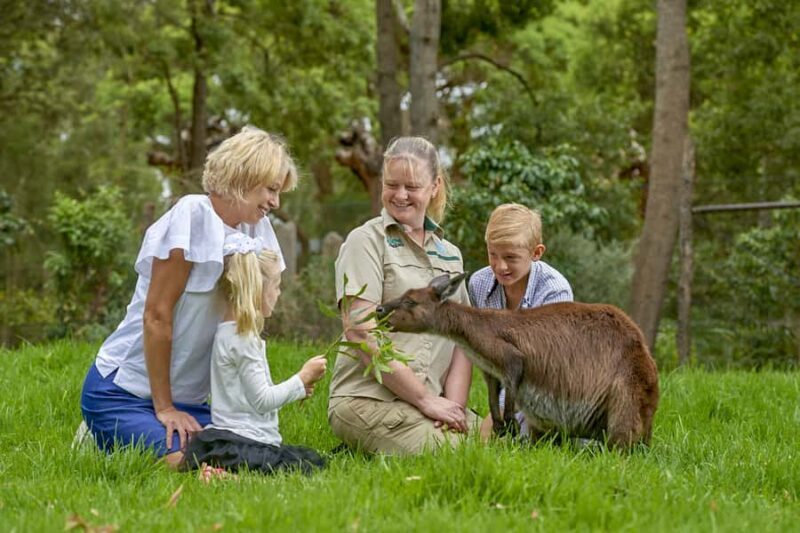 Healesville Sanctuary: General Admission Ticket - The Sum Up: A Well-Rounded Wildlife Day