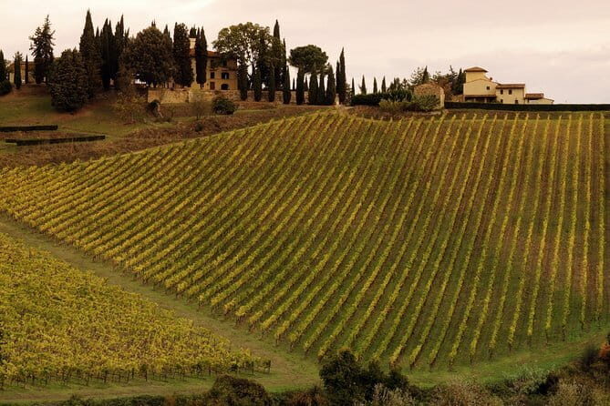 Heart of Florence Guided Walking Tour - Who This Tour is Best For