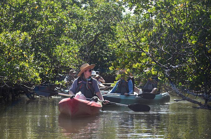 Heart of Rookery Bay Kayak Tour - Frequently Asked Questions