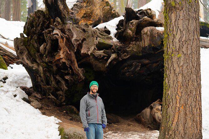 Heart of the Giant Forest Hike - Authentic Experiences from Past Travelers