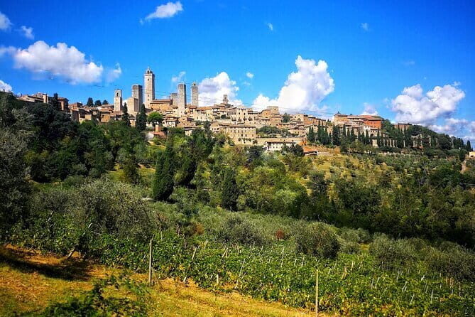 Heart of Umbria: explore the mystic towns of Orvieto and Assisi - Whats Included and What’s Not