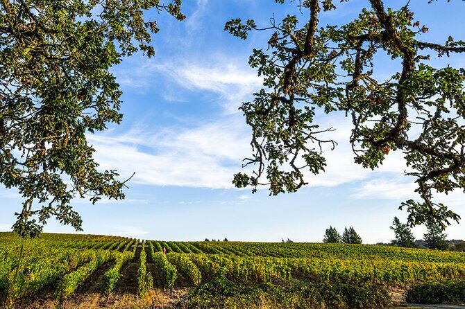 Heart of Willamette Winery Pass : Wine Tastings and Discounts - Making the Most of Your Wine Day