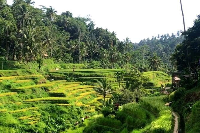Heaven Gate, Tirtagangga and Tukad Cepung Waterfall - All Inclusive - FAQ