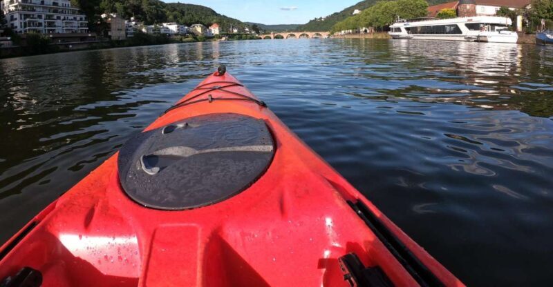 Heidelberg: 2-Hour Kayak Tour - A Water-Based Adventure with Stunning Vistas