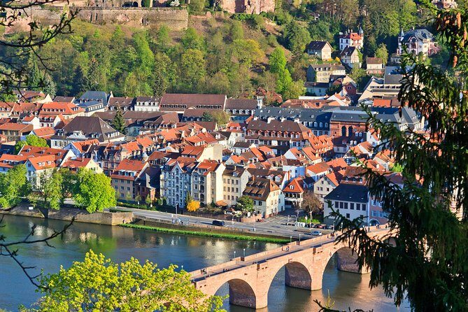 Heidelberg and Baden-Baden Tour from Frankfurt - The Practicalities: Transportation, Timing, and Group Size