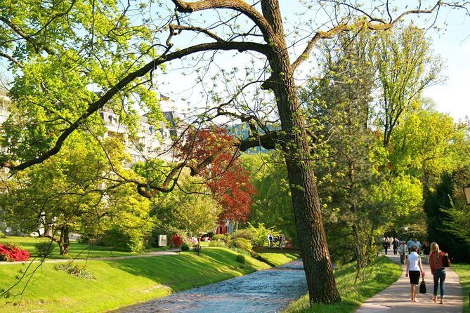 Heidelberg and Baden-Baden Tour from Frankfurt - Who Is This Tour Best For?