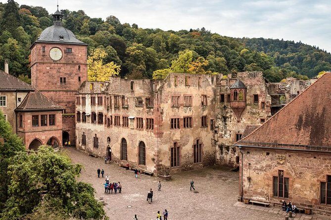 Heidelberg and Rhine Valley Day Trip With Wine Tasting and Dinner from Frankfurt - Practical Insights for Travelers