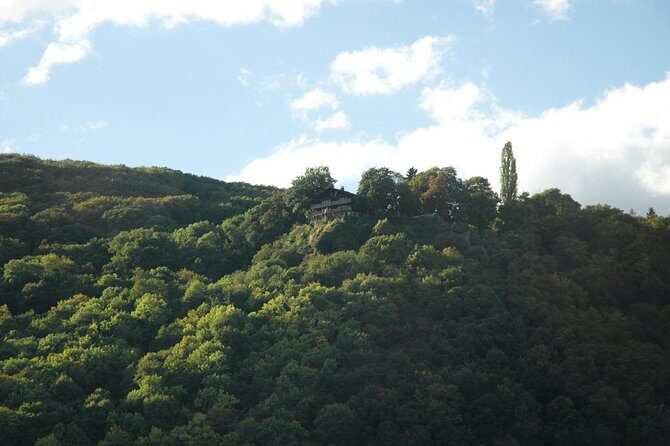 Heidelberg and Rhine Valley Day Trip With Wine Tasting and Dinner from Frankfurt - FAQ