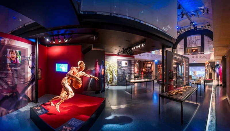 Heidelberg: BODY WORLDS Museum Entry Ticket - Key Points