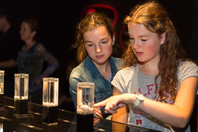 Heidelberg: BODY WORLDS Museum Entry Ticket - Visitor Experience and Practical Details