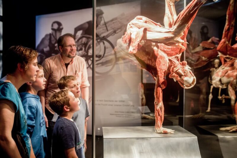 Heidelberg: BODY WORLDS Museum Entry Ticket - Is It Worth the Price?