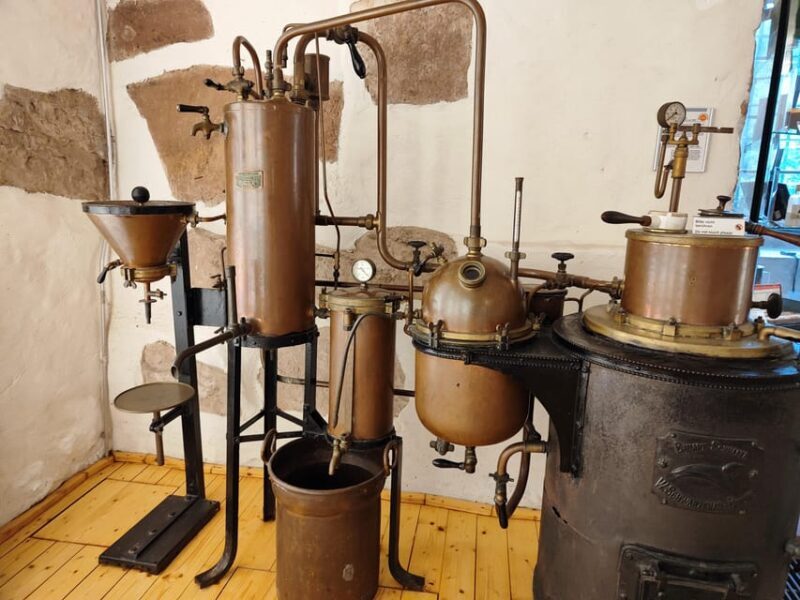 Heidelberg Castle - The Highlights in 1 h EXPRESS TOUR - Final thoughts