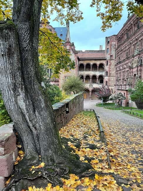 Heidelberg: Discover Heidelberg Castle - experience history up close - Key Points