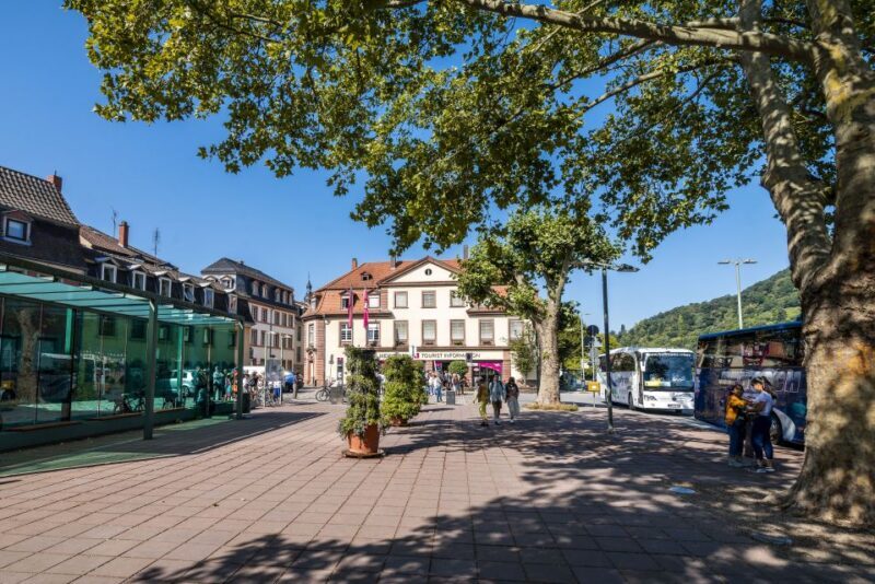 Heidelberg: Sightseeing Bus and Castle Tour - Key Points
