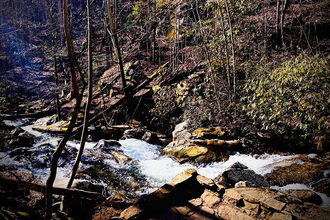 Helen Hike Wine and Dine Private Tour from Atlanta - Final Thoughts