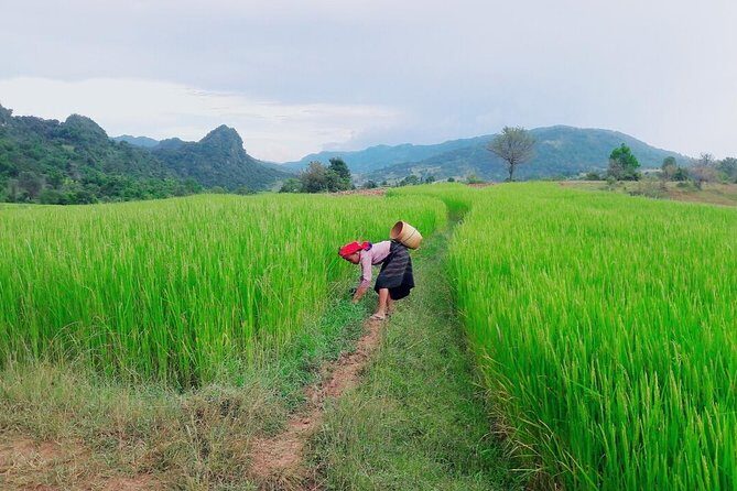 Hello, who like to make fantastic trek with the most experienced guide in Kalaw. - Who is This Tour Best For?