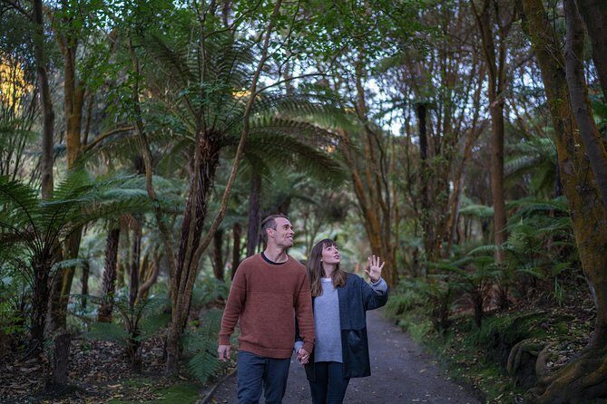 Hell's Gate Geothermal Walk - A Detailed Look at the Hells Gate Geothermal Walk in Rotorua