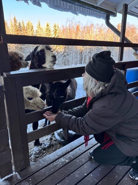 Helsinki: Alpaca Farm Tour with Guided Walk (private) - The Sum Up