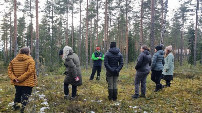 Helsinki: Guided Nature Experience with Campfire and Meal - Authentic Finnish Connection