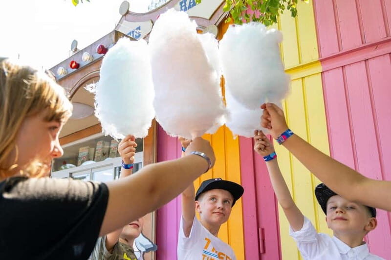 Helsinki: Linnanmäki Amusement Park - Introduction