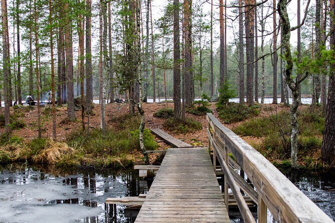 Helsinki: Nuuksio National park hiking with campfire lunch - The Itinerary: An Authentic Finnish Nature Journey