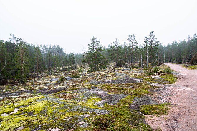 Helsinki: Nuuksio National park hiking with campfire lunch - Value and Who It’s Best For