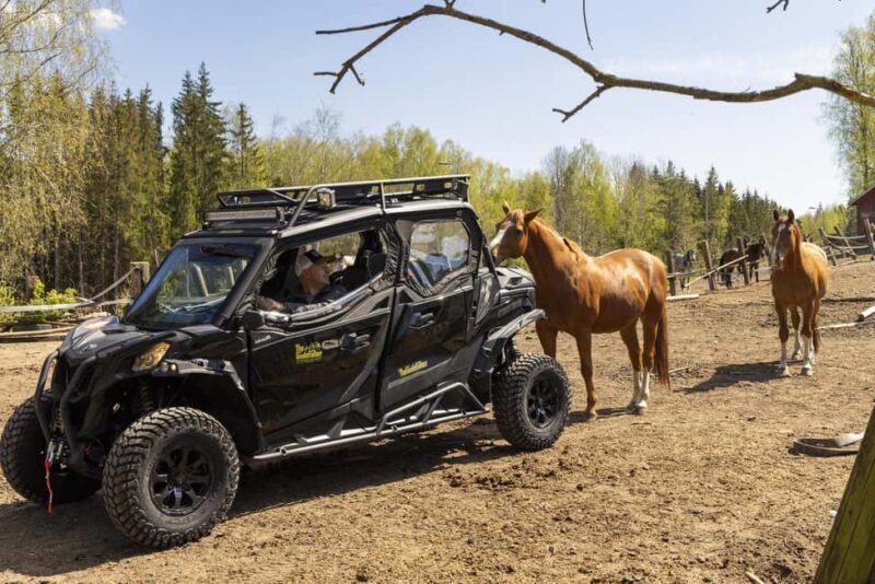 Helsinki: Reindeer Park and Horse Stable Private Tour - What Makes This Tour Stand Out?