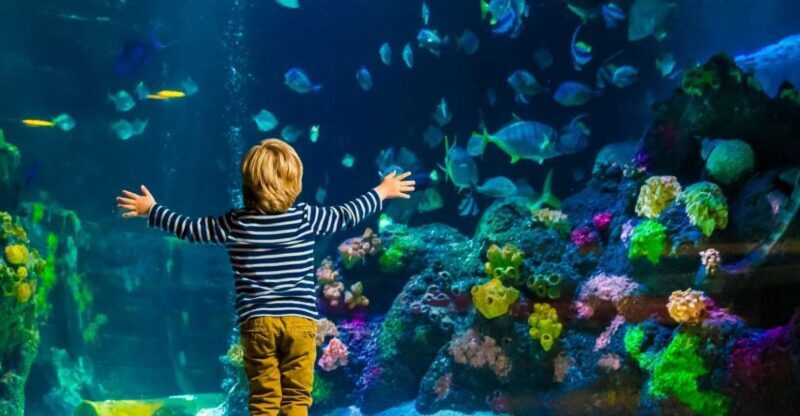 Helsinki: Sea Life Entrance Tickets - FAQs