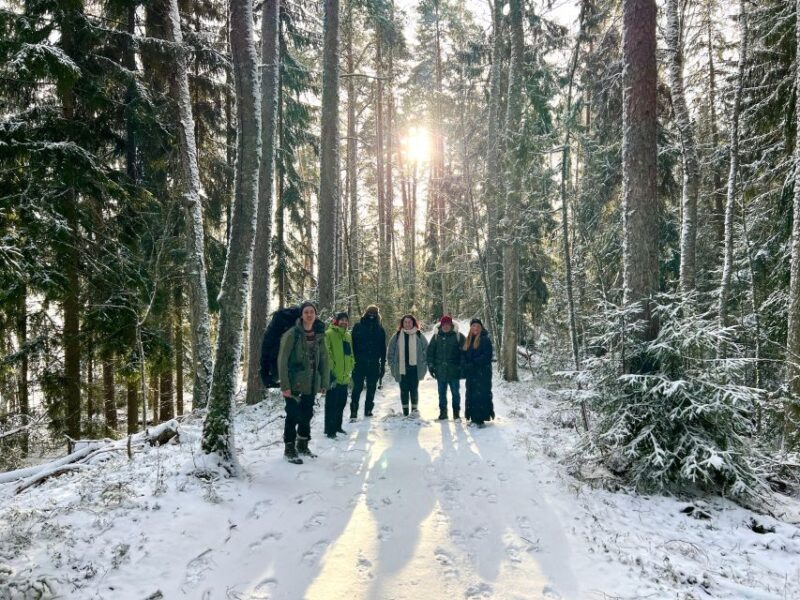 Helsinki: Winter Wonderland Liesjärvi National Park Hike - Continued Exploration & Free Time