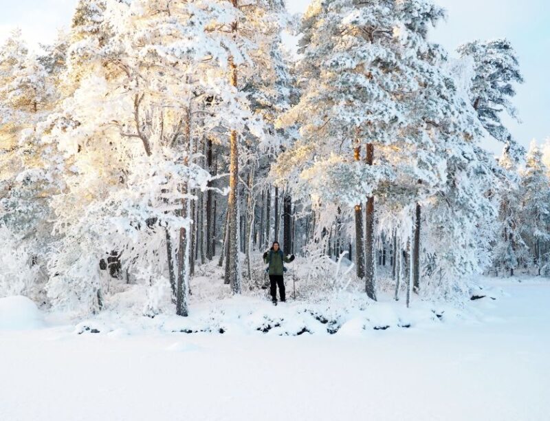 Helsinki: Winter Wonderland Liesjärvi National Park Hike - Sustainability and Ethical Travel