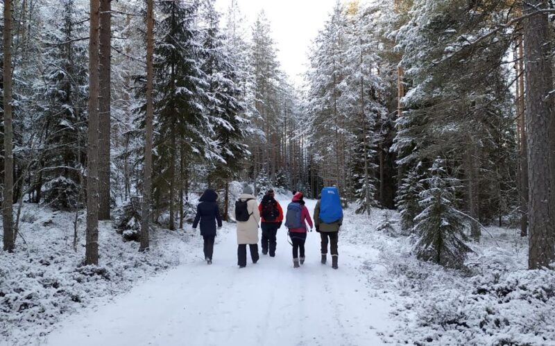 Helsinki: Winter Wonderland Liesjärvi National Park Hike - Price and Value Assessment
