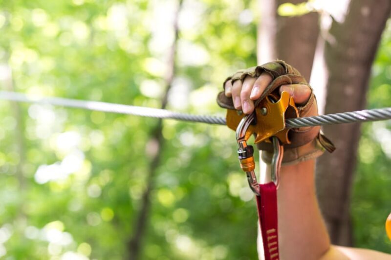 Henderson, Minnesota: 14-Line Zipline Canopy Tour - Practical Details & Considerations