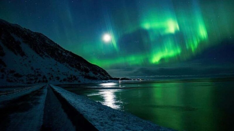 Henningsvær: Northern Lights Tour with Photographer - Value and Pricing: Is It Worth It?