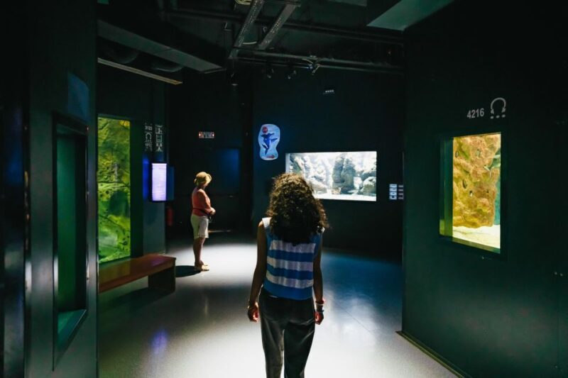 Heraklion Area: CRETAquarium Admission Ticket - The Sum Up