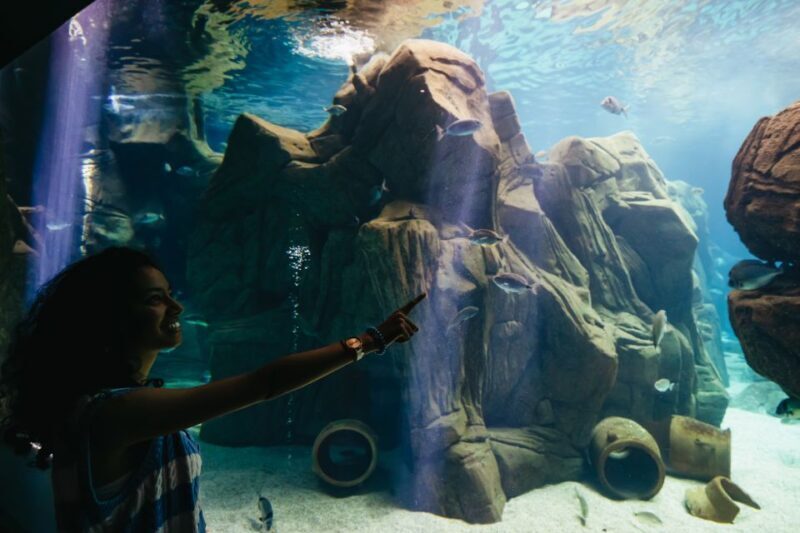 Heraklion Area: CRETAquarium Admission Ticket - FAQs