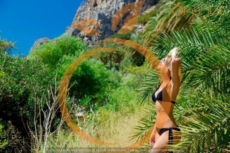 Heraklion Areas : Preveli Beach & Palm Forest Full-Day Tour - The Value of This Tour