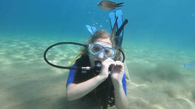 Heraklion: Beginner Scuba Diving Lesson with PADI Instructor - An In-Depth Look at the Experience