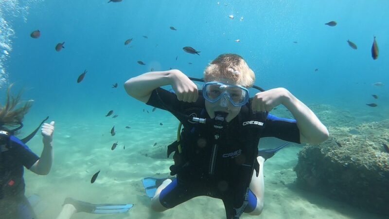 Heraklion: Beginner Scuba Diving Lesson with PADI Instructor - Who Should Consider This Tour?