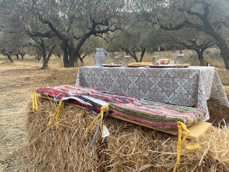 Heraklion: Cretan Farmers Brunch and Olive Grove Tour - What Makes This Tour Stand Out