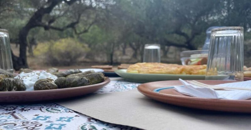 Heraklion: Cretan Farmers Brunch and Olive Grove Tour - The Sum Up