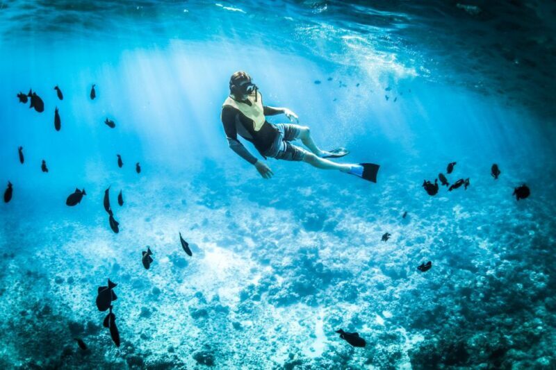 Heraklion: Dia Island Sailboat Cruise with Swimming and Meal - Final Thoughts