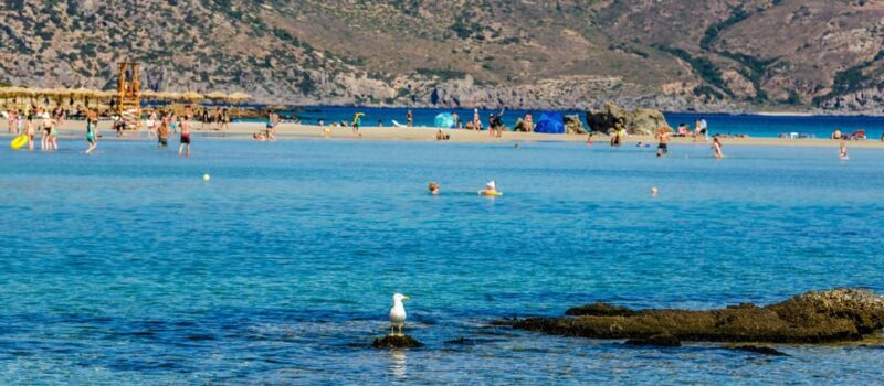 Heraklion: Elafonisi Beach: Discover the Pink Sand Paradise - Key Points