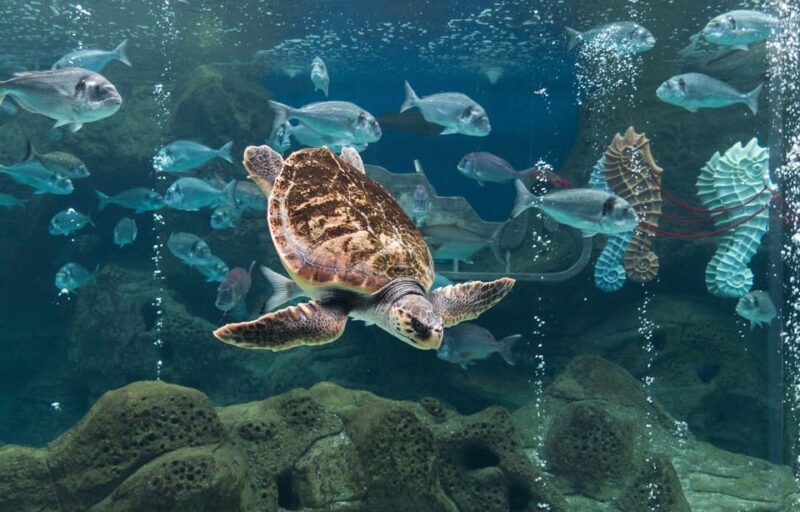 Heraklion: Family Fun Day with Dinosauria and CRETAquarium - An In-Depth Look at the Experience