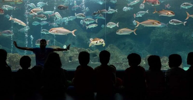 Heraklion: Family Fun Day with Dinosauria and CRETAquarium - The Sum Up