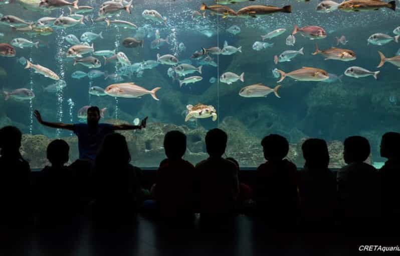 Heraklion: Family Fun Day with Dinosauria and CRETAquarium - FAQ