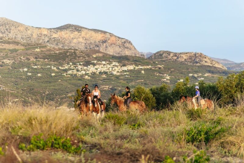 Heraklion: Finikia Horse Riding Tour with Lunch or Dinner - Exploring the Experience in Detail