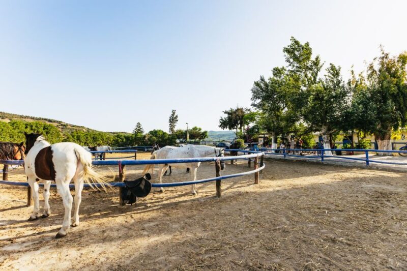 Heraklion: Finikia Horse Riding Tour with Lunch or Dinner - Final Thoughts