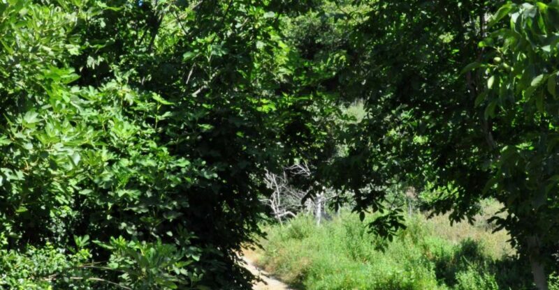 Heraklion: Full Day to Rihti Waterfalls, Mochlos, Azoria - Analyzing the Value