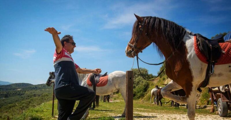 Heraklion: Horseriding Day Tour with Lunch and Transfer - Key Points