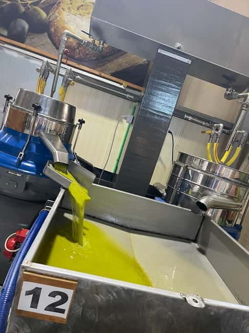 Heraklion: Knossos, Zeus, Villages & Olive Oil Factory Tour - Final Thoughts